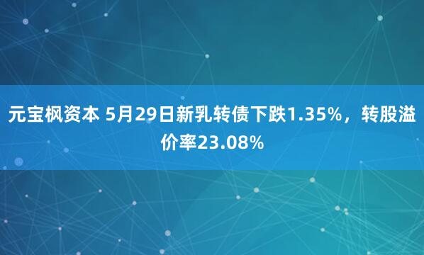 元宝枫资本 5月29日新乳转债下跌1.35%，转股溢价率23.08%