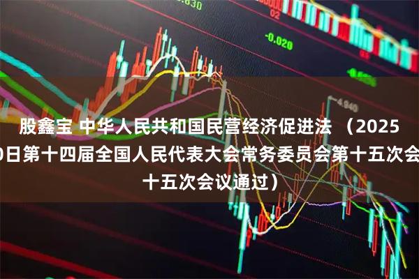 股鑫宝 中华人民共和国民营经济促进法 （2025年4月30日第十四届全国人民代表大会常务委员会第十五次会议通过）