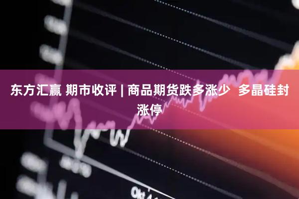东方汇赢 期市收评 | 商品期货跌多涨少  多晶硅封涨停